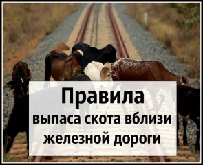 «Правила прогона скота через железнодорожные пути и правила выпаса скота вблизи железнодорожных путей»