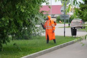 Внимание! В Благовещенке проведут дезинфекцию общественных мест от клещей